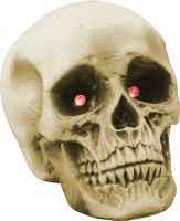 Europalms Halloween skull 21x15x15cm LED