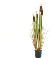 Europalms Bulrush, artificial plant, 150cm